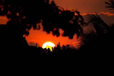Tepelerde gün batımı ve ormanda kan kırmızı gökyüzü. (siluet)
