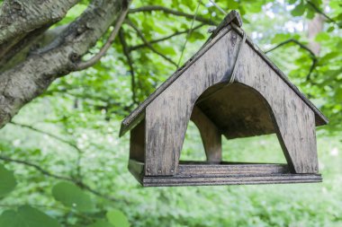 Tahta kuş besleyicisi yeşil bir ormanda bir dalda asılı duruyor.