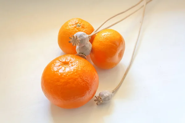 dried poppy heads and bright orange tangerines on a white cream background