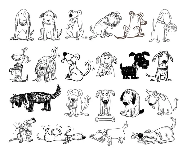 Ícones de coleta de raça de cão - ilustração vetorial . — Vetor de Stock