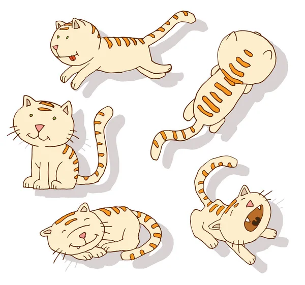 Icono de gato, ilustración vectorial — Vector de stock