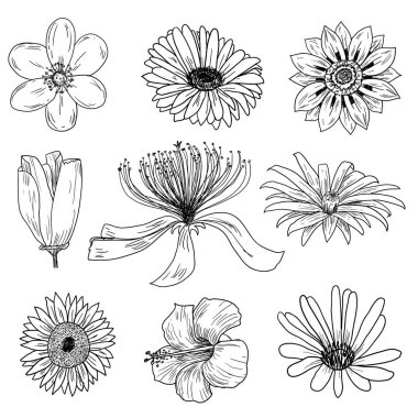 çiçekler Icons set, vektör çizim. 