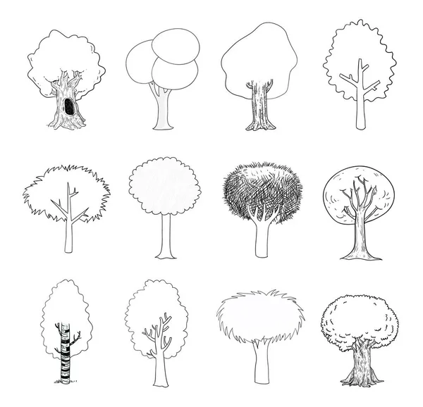 Set d'arbres, illustration vectorielle . — Image vectorielle