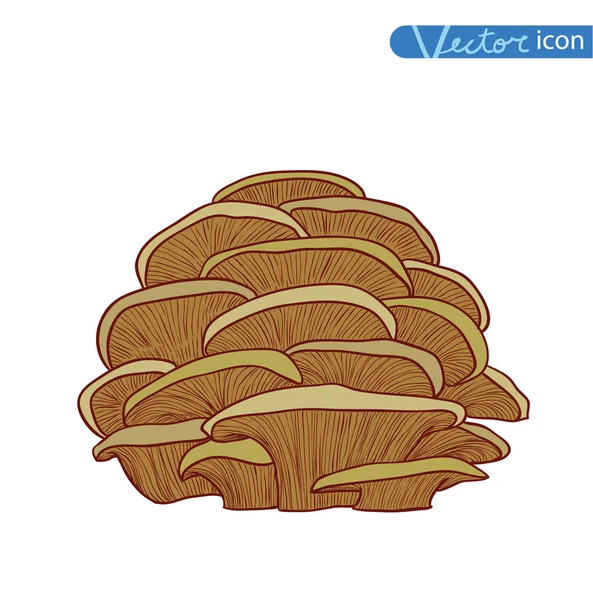Funghi set icone, illustrazione vettoriale . — Vettoriale Stock