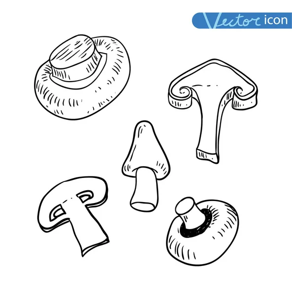 Иконки грибов, векторная иллюстрация . — стоковый вектор