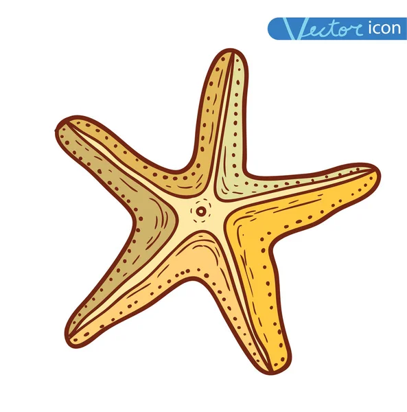 Estrellas de mar set .hand drawn Vector Illustration — Archivo Imágenes Vectoriales