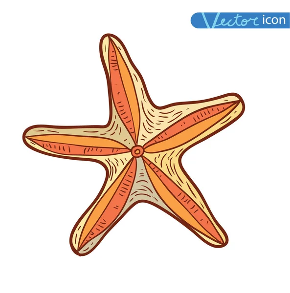 Starfishes uppsättning. handritad vektor illustration — Stock vektor