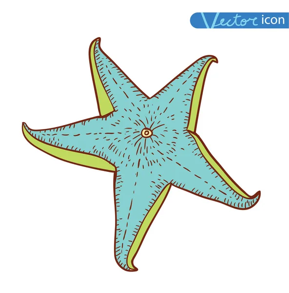 Starfishes uppsättning. handritad vektor illustration — Stock vektor