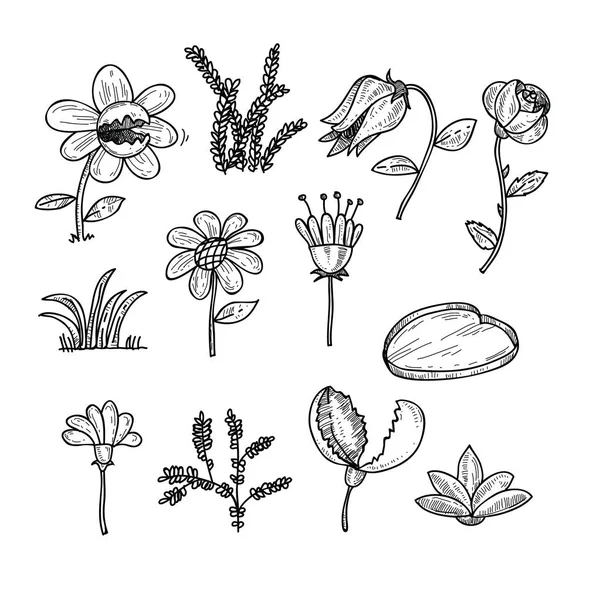 Fleurs icônes ensemble, illustration vectorielle . — Image vectorielle