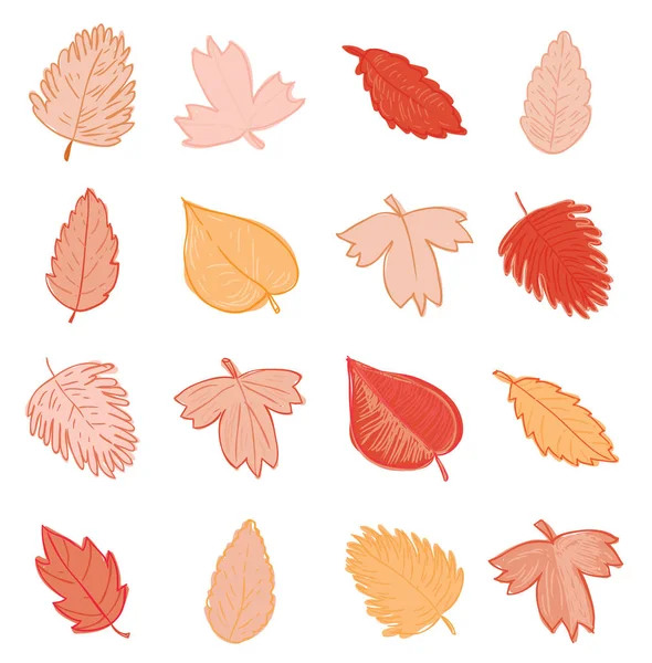 Leaves doodles set. Vector hand drawn  illustration — Stock Vector