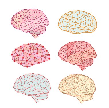 İnsan beyni simgesi, vektör illüstrasyonu.