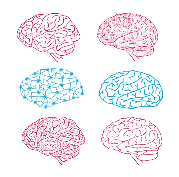 Human brain icon, vector illustration. — Stock Vector