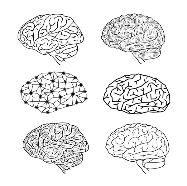 Ikone des menschlichen Gehirns, Vektorillustration. — Stockvektor