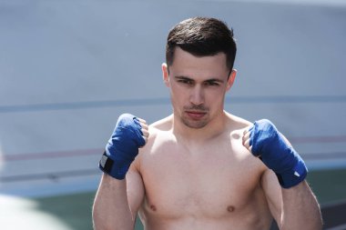 stadyumda yakışıklı gömleksiz boksör eğitim 