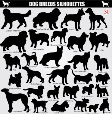 Vector silhouettes köpek isimleri ile kümesi