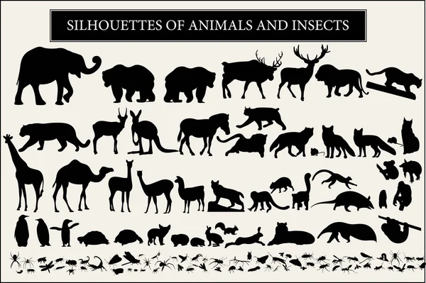 Collection Animals Silhouettes White Background — Stock Vector