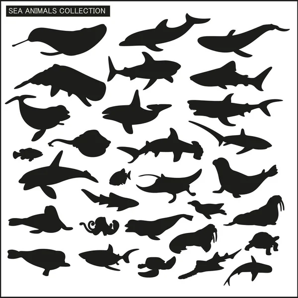 Collection Silhouette Animaux Mer Sur Fond Blanc — Image vectorielle