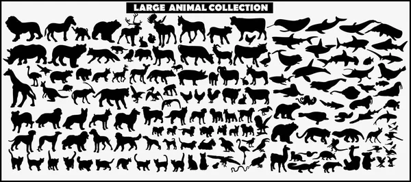 Colección Silueta Animales Sobre Fondo Blanco — Vector de stock