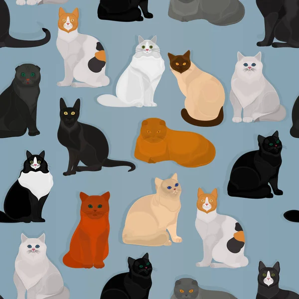 Nahtloses Vektormuster Mit Verschiedenen Katzen Auf Blauem Hintergrund — Stockvektor