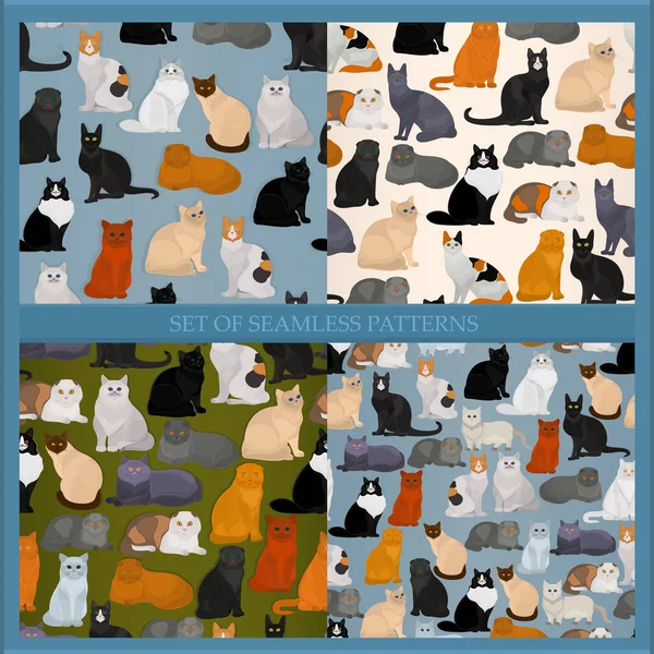 Set of seamless pattern with cats on different backgrounds. Vector cats.