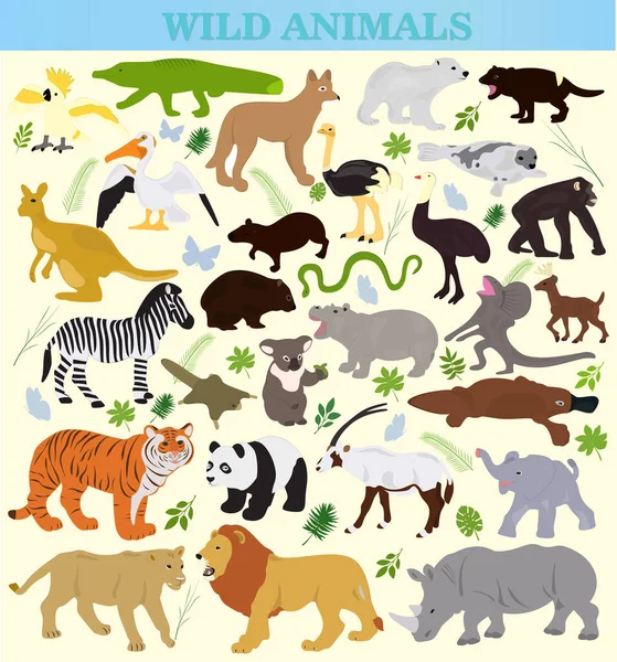 Set Wild Animals White Background — Stock Vector