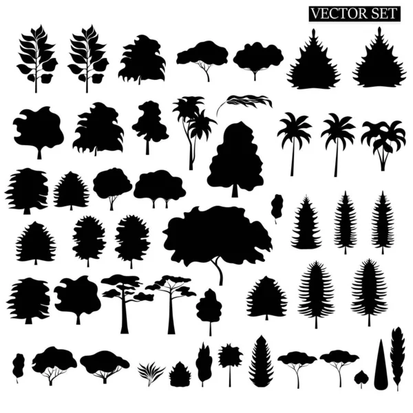 Conjunto Silhuetas Várias Árvores Arbustos Fundo Branco Plantas Florestais — Vetor de Stock
