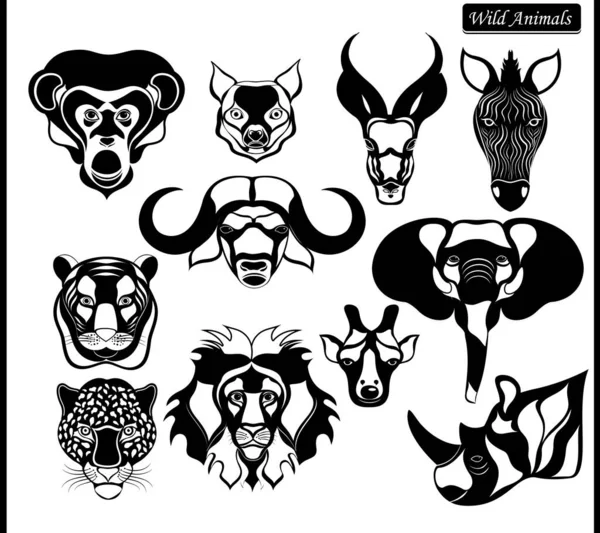 Heads Wild Beasts Animals Africa Black White Colors — Stock Vector