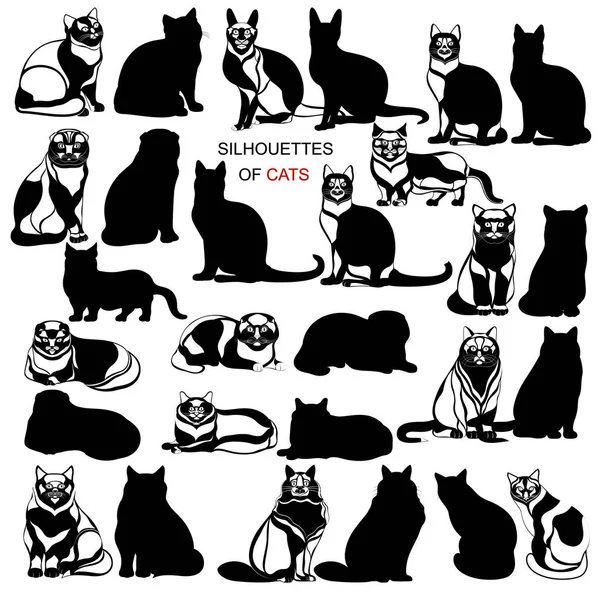 Vektorsilhouetten Von Katzen Auf Weißem Hintergrund Schwarze Und Weiße Katzen — Stockvektor