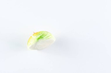 Beyaz arka plan üzerinde taze kesilmiş soğan, üst görünümü. Organik gıda arka plan.