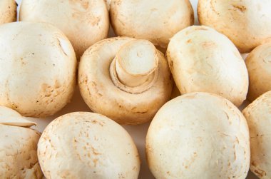 Taze champignons beyaz arka plan izole. Organik gıdanın arka planı.