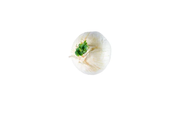 Beyaz soğan beyaz arka plan üzerinde izole. Yukarıdan manzara. Organik gıda arka plan. — Stok fotoğraf