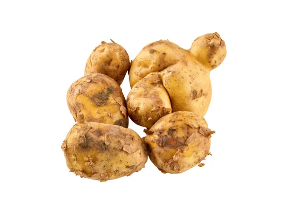 Fresh white potatoes isolated on white background. Background of organic food. — Stock Photo, Image