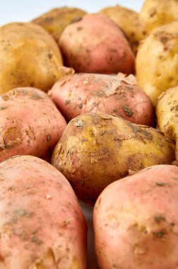 Taze kırmızı ve beyaz patates beyaz arka plan izole. Organik gıdanın arka planı.