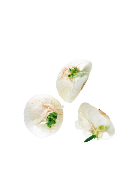 Beyaz arka plan üzerinde taze kesilmiş beyaz soğan, üst görünümü. Organik gıda arka plan. — Stok fotoğraf