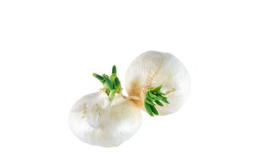 Beyaz soğan beyaz arka plan üzerinde izole. Yukarıdan manzara. Organik gıda arka plan.