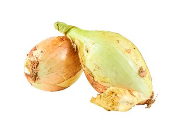 Beyaz arka planda taze soğan. Organik gıda arka plan.