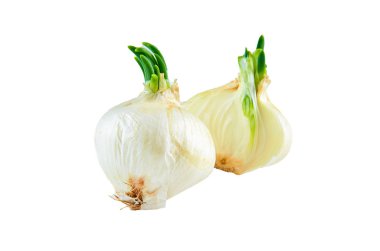 Beyaz arka plan üzerinde taze kesilmiş beyaz soğan. Organik gıda arka plan.