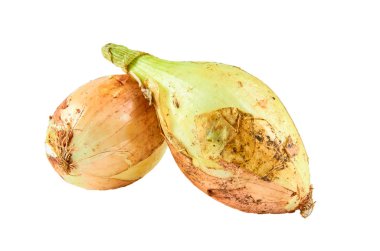 Beyaz arka planda taze soğan. Organik gıda arka plan.