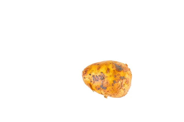 Färsk vit potatis isolerad på vit botten. Utsikten från toppen. Ekologisk mat bakgrund. — Stockfoto