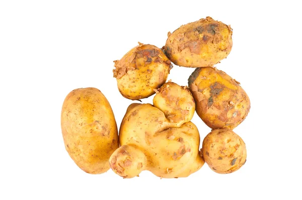 新鲜的白土豆在白色背景上分离。顶部的视图。有机食品背景. — 图库照片