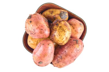 Beyaz arka plan üzerinde izole bir kase taze kırmızı ve beyaz patates. Yukarıdan manzara. Organik gıdanın arka planı.