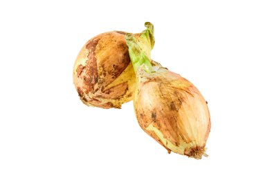 Beyaz arka planda taze soğan. Organik gıda arka plan.