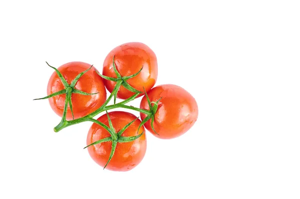 Tomates frescos aislados sobre fondo blanco. La vista desde arriba. Antecedentes de los alimentos ecológicos . —  Fotos de Stock