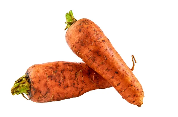 Zanahorias frescas sobre fondo blanco. Antecedentes de los alimentos ecológicos . —  Fotos de Stock