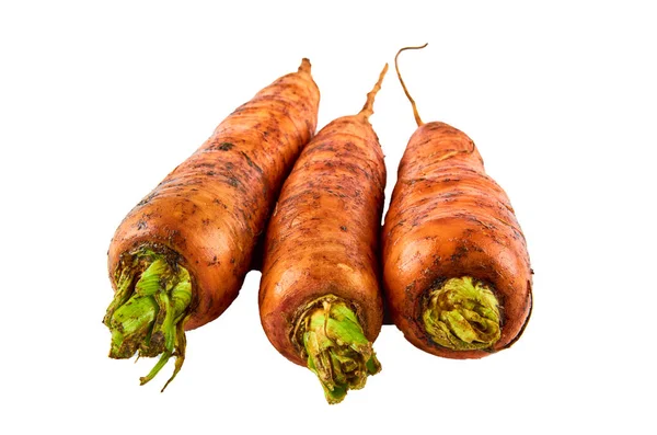 Свежая морковь на белом фоне. Предпосылки для органических продуктов питания . — стоковое фото