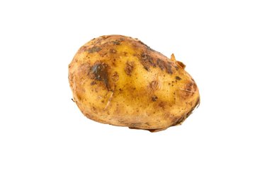 Taze beyaz patates beyaz arka plan üzerinde izole. Organik gıdanın arka planı.