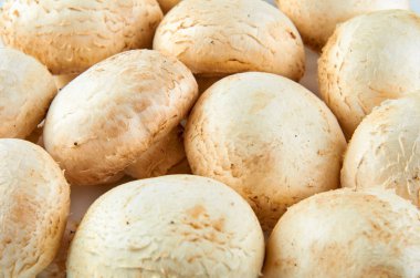 Taze champignons beyaz arka plan izole. Organik gıdanın arka planı.