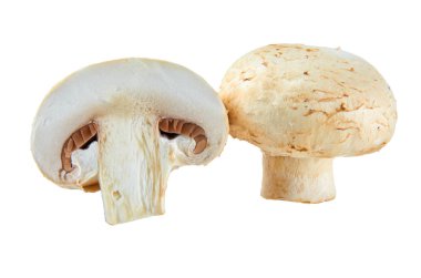Beyaz arka planda izole edilmiş taze dilimlenmiş champignons. Organik gıdanın arka planı.