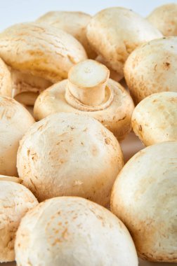 Taze champignons beyaz arka plan izole. Organik gıdanın arka planı.