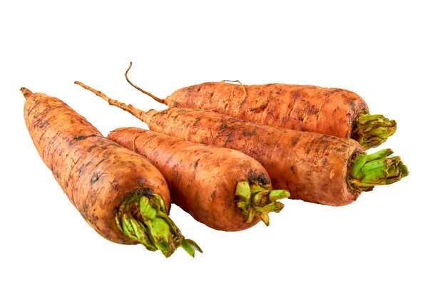 Zanahorias frescas sobre fondo blanco. Antecedentes de los alimentos ecológicos . —  Fotos de Stock